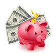 Moneybox - pig and dollars