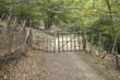 Wooden gate