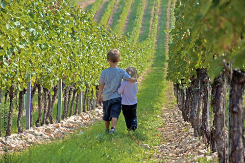 Photo: vigneti bambini vigneti bambini