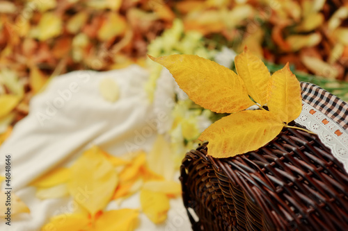 Photo: Indian summer Indian summer