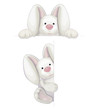 Vector: Vector of cute rabbits isolated Vector of cute rabbits isolated