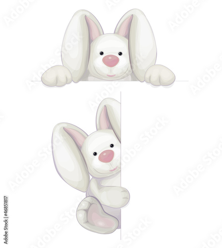 Vector: Vector of cute rabbits isolated Vector of cute rabbits isolated
