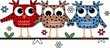 three cute owls