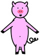 Schwein
