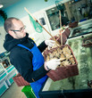 Photo: poissonnerie poissonnerie