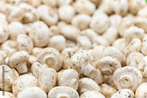 Photo: Fresh mushrooms champignon Fresh mushrooms champignon