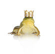 Photo: handsome prince handsome prince