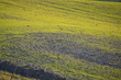 paesaggio toscano