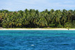 Tropical beach with lush coconut trees