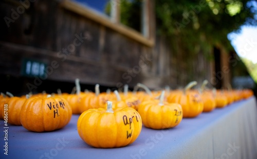Photo: Wedding Favors Wedding Favors