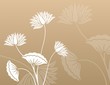 water lilies, Buddha , Zen , yoga, beauty, royal India