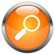 Vector Button Search
