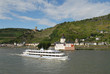 Kaub, Burg Pfalzgrafenstein, Rhein, Weinberge, Mittelrheintal