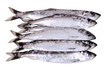 Herring fish stock isolated on white background