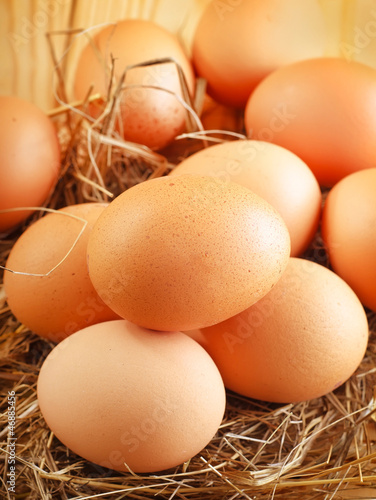 Photo: Raw eggs Raw eggs