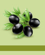 vector background with black olives