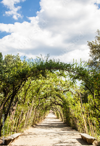 Photo: Boboli Gardens Boboli Gardens