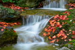 Foto: Bachlauf im Herbst Bachlauf im Herbst