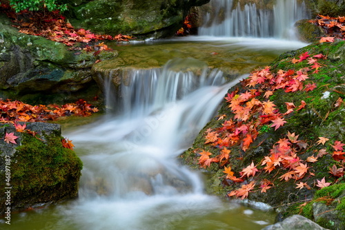 Photo: Bachlauf im Herbst Bachlauf im Herbst