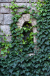 Ancient castle window
