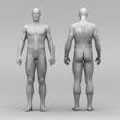 Mann Anatomie Mensch stehend front rück