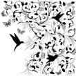 Vector: Foliate designs for greetings Foliate designs for greetings
