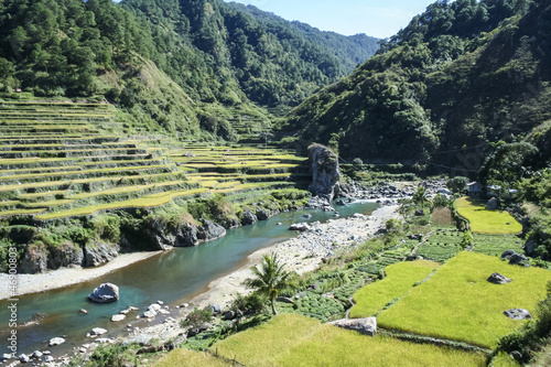 Photo: rice fields northern luzon the philippines rice fields northern luzon the philippines