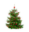 Photo: weihnachtsbaum weihnachtsbaum