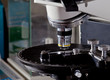 Polarizing Light Microscope