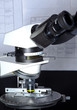 Polarizing light microscope