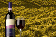 Vino rosso