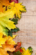 autumn leaves over wooden background