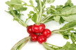 Photo: Radishes Radishes