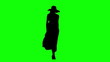 Catwalk Model Silhouette