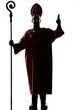 man cardinal bishop silhouette saluting blessing