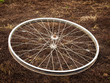 Wheel