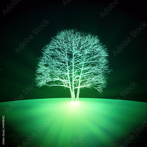 Illustration: Abstract glowing tree Abstract glowing tree