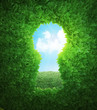 Garden keyhole
