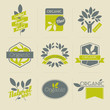 Organic retro labels, badges and other design elements with leav