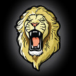 Lion head