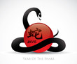 Symbol for the year of the snake