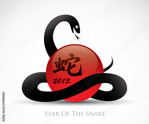 Vector: Symbol for the year of the snake Symbol for the year of the snake