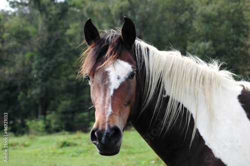 Photo: Ranch-M Ranch-M