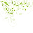 floral, oliven,  olivenzweig,  olivenblätter, olivenöl,