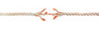 Broken braided rope on a white background.
