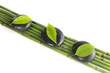 Photo: zen basalt with green leaves on bamboo grove zen basalt with green leaves on bamboo grove