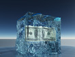 One hundred dollar bill frozen in ice