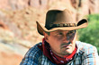 cow boy spirit