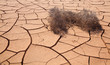 Natural background of cracked earth