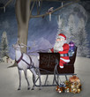 Vintage christmas illustration